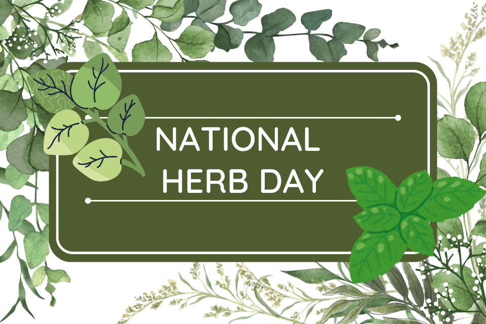 National Herb Day