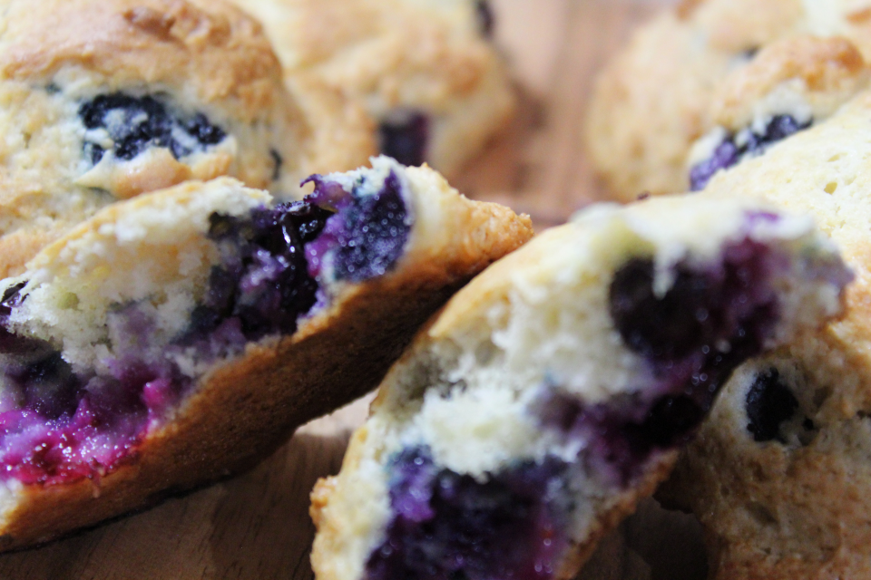 Blueberry Greek Yogurt Scones